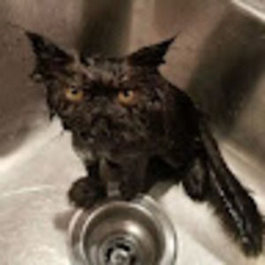 Meet your Posher, Jaime